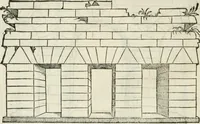 An illustration from Libro primo [-quinto] d'architettvra ... (1566)