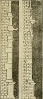An illustration from Libro primo [-quinto] d'architettvra ... (1566)