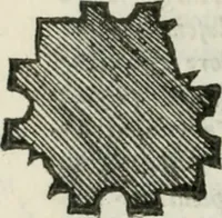 An illustration from Libro primo [-quinto] d'architettvra ... (1566)