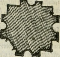 An illustration from Libro primo [-quinto] d'architettvra ... (1566)