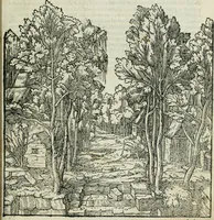 An illustration from Libro primo [-quinto] d'architettvra ... (1566)