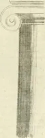 An illustration from Li cinque ordini dell' architettura civile di Michel Sanmicheli : rilevati dalle sue fabriche, e descritti e publicati con quelli di Vitruvio, Alberti, Palladio, Scamozzi, Serlio, e Vignola (1735)