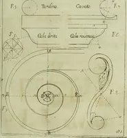 Picture 6 of 63 from Li cinque ordini dell'architettura civile di Michel Sanmicheli, rilevati dalle sue Fabriche, e descritti e publicati con quelli di Vitruvio, Alberti, Palladio, Scamozzi, Serlio e Vignola (1735), leaf 20