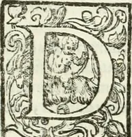 An illustration from L'idea della architettura vniversale (1615)