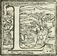 An illustration from L'idea della architettura vniversale (1615)