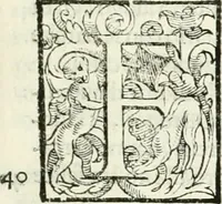 An illustration from L'idea della architettura vniversale (1615)