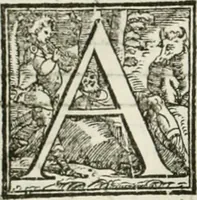 An illustration from L'idea della architettura vniversale (1615)