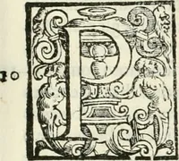 An illustration from L'idea della architettura vniversale (1615)