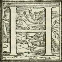 An illustration from L'idea della architettura vniversale (1615)