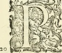 An illustration from L'idea della architettura vniversale (1615)