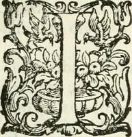 An illustration from L'idea della architettura vniversale (1615)