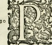 An illustration from L'idea della architettura vniversale (1615)