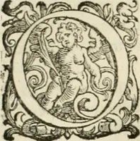 An illustration from L'idea della architettura vniversale (1615)