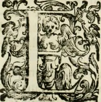 An illustration from L'idea della architettura vniversale (1615)