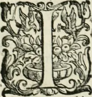 An illustration from L'idea della architettura vniversale (1615)