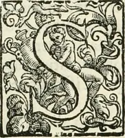An illustration from L'idea della architettura vniversale (1615)