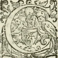 An illustration from L'idea della architettura vniversale (1615)