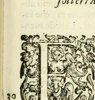 An illustration from L'idea della architettura vniversale (1615)