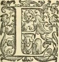 An illustration from L'idea della architettura vniversale (1615)