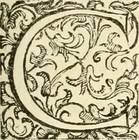 An illustration from L'idea della architettura vniversale (1615)