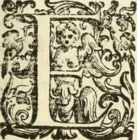 An illustration from L'idea della architettura vniversale (1615)