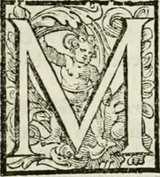 An illustration from L'idea della architettura vniversale (1615)