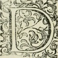 An illustration from L'idea della architettura vniversale (1615)