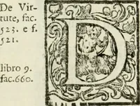 An illustration from L'idea della architettura vniversale (1615)