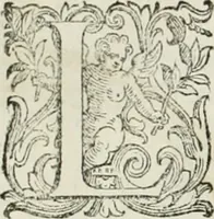 An illustration from L'idea della architettura vniversale (1615)