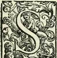 An illustration from L'idea della architettura vniversale (1615)