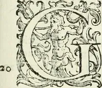 An illustration from L'idea della architettura vniversale (1615)