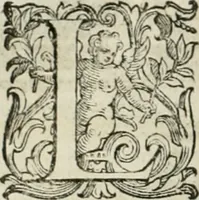 An illustration from L'idea della architettura vniversale (1615)