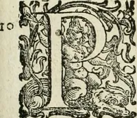 An illustration from L'idea della architettura vniversale (1615)