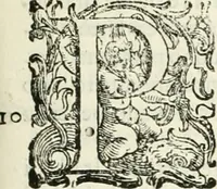 An illustration from L'idea della architettura vniversale (1615)