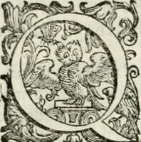 An illustration from L'idea della architettura vniversale (1615)