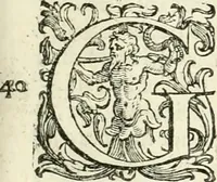 An illustration from L'idea della architettura vniversale (1615)