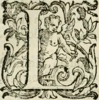 An illustration from L'idea della architettura vniversale (1615)