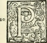 An illustration from L'idea della architettura vniversale (1615)