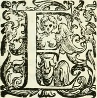 An illustration from L'idea della architettura vniversale (1615)