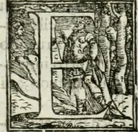 An illustration from L'idea della architettura vniversale (1615)