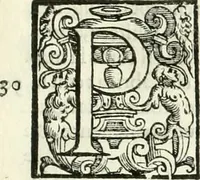 An illustration from L'idea della architettura vniversale (1615)