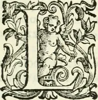 An illustration from L'idea della architettura vniversale (1615)