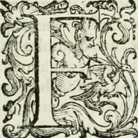 An illustration from L'idea della architettura vniversale (1615)
