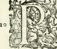 An illustration from L'idea della architettura vniversale (1615)