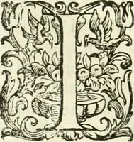 An illustration from L'idea della architettura vniversale (1615)