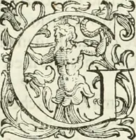 An illustration from L'idea della architettura vniversale (1615)