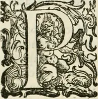 An illustration from L'idea della architettura vniversale (1615)