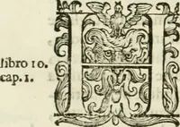 An illustration from L'idea della architettura vniversale (1615)