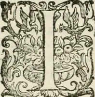 An illustration from L'idea della architettura vniversale (1615)
