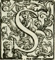 An illustration from L'idea della architettura vniversale (1615)